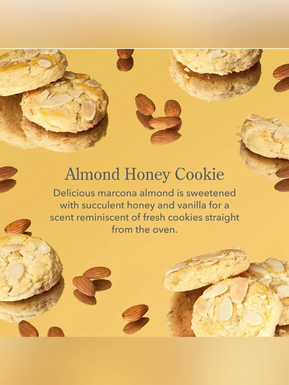 Beekman 1802 Almond Honey Cookie Hand & Body Wash 12.5oz